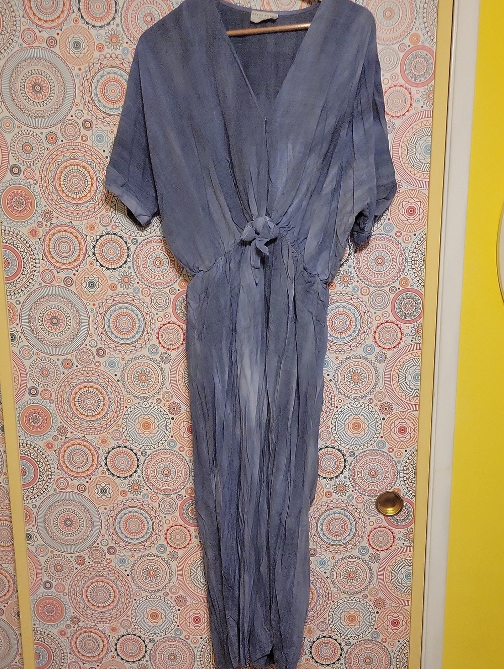 Dress Forum Light Blue Rayon Jumpsuit with V-Neck